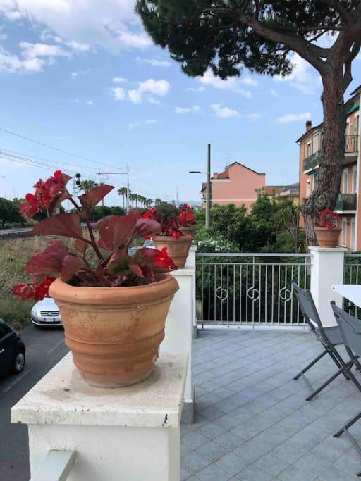 Villa La Casa Di Carlotta Loano Exterior foto